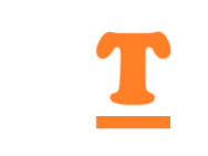 Nastik